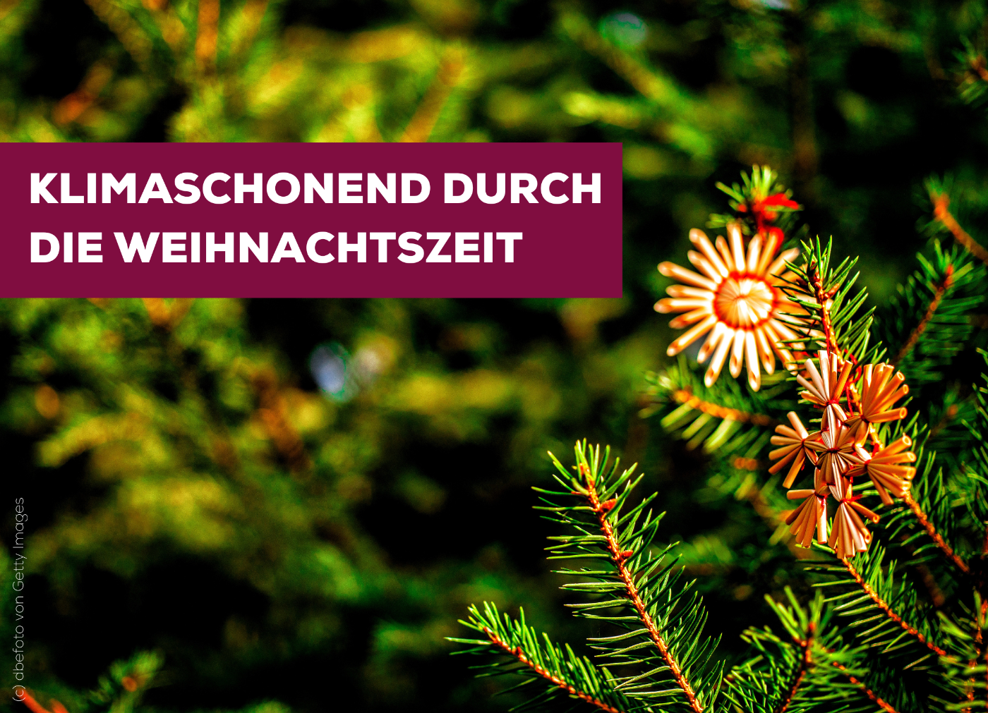 ../../nav/bilder/Website_Weihnachtszeit_2.png
